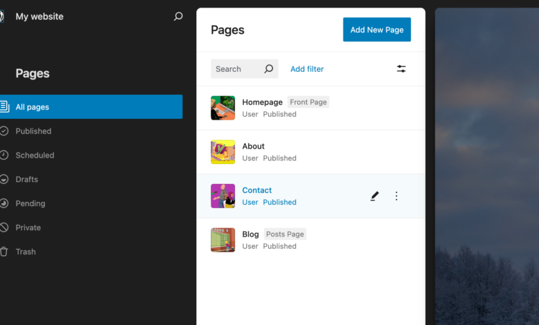 wordpress-6.6:-the-6-highlights-in-this-release!
